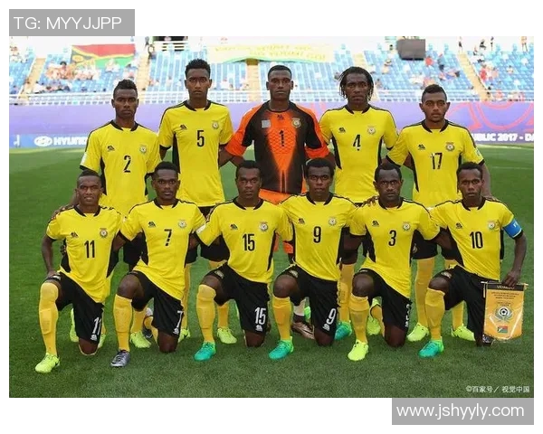 加蓬足球明星排行榜揭晓谁是球场上的璀璨之星