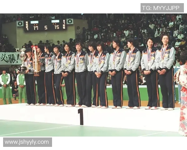 南京排球队的成长之路精英赛背后的奋斗与荣耀