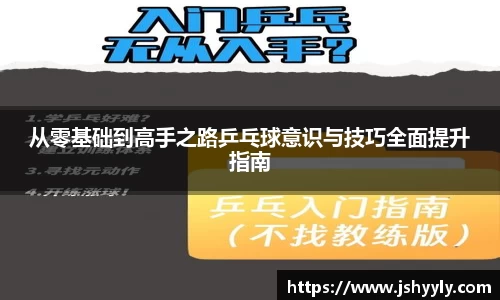 从零基础到高手之路乒乓球意识与技巧全面提升指南